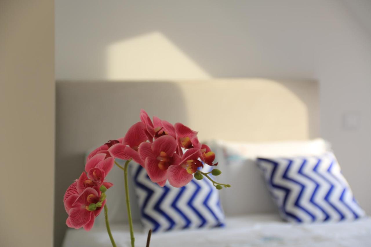 Apartment Maraveiro House Aveiro